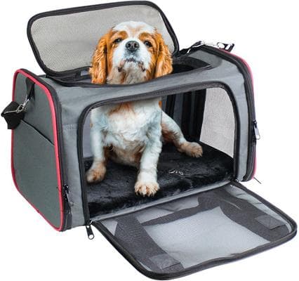 JESPET Soft-Sided Airline-Approved Travel Dog & Cat Carrier, Gray/Red, Medium/Large - Chewy.com